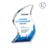 Nexis VividPrint™ Award