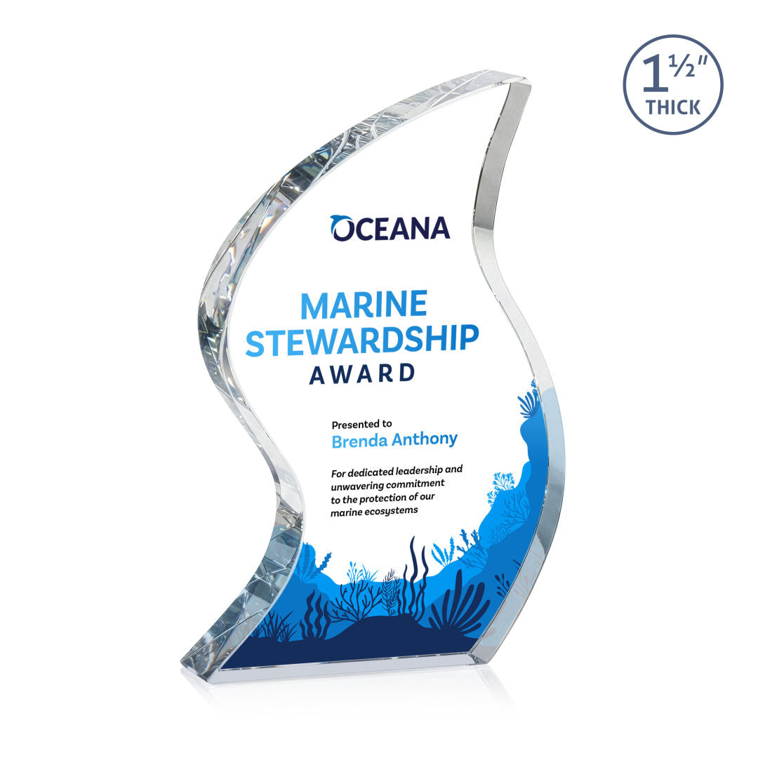 Nexis VividPrint™ Award