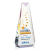 Carmel VividPrint™ Award