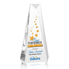 Carmel VividPrint™ Award