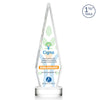 Springfield VividPrint™ Award on Stanrich Base