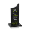 Berratini VividPrint™ Award