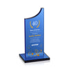 Berratini VividPrint™ Award