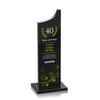 Berratini VividPrint™ Award