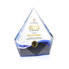 Shelton VividPrint™ Award