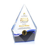Shelton VividPrint™ Award