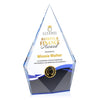 Shelton VividPrint™ Award