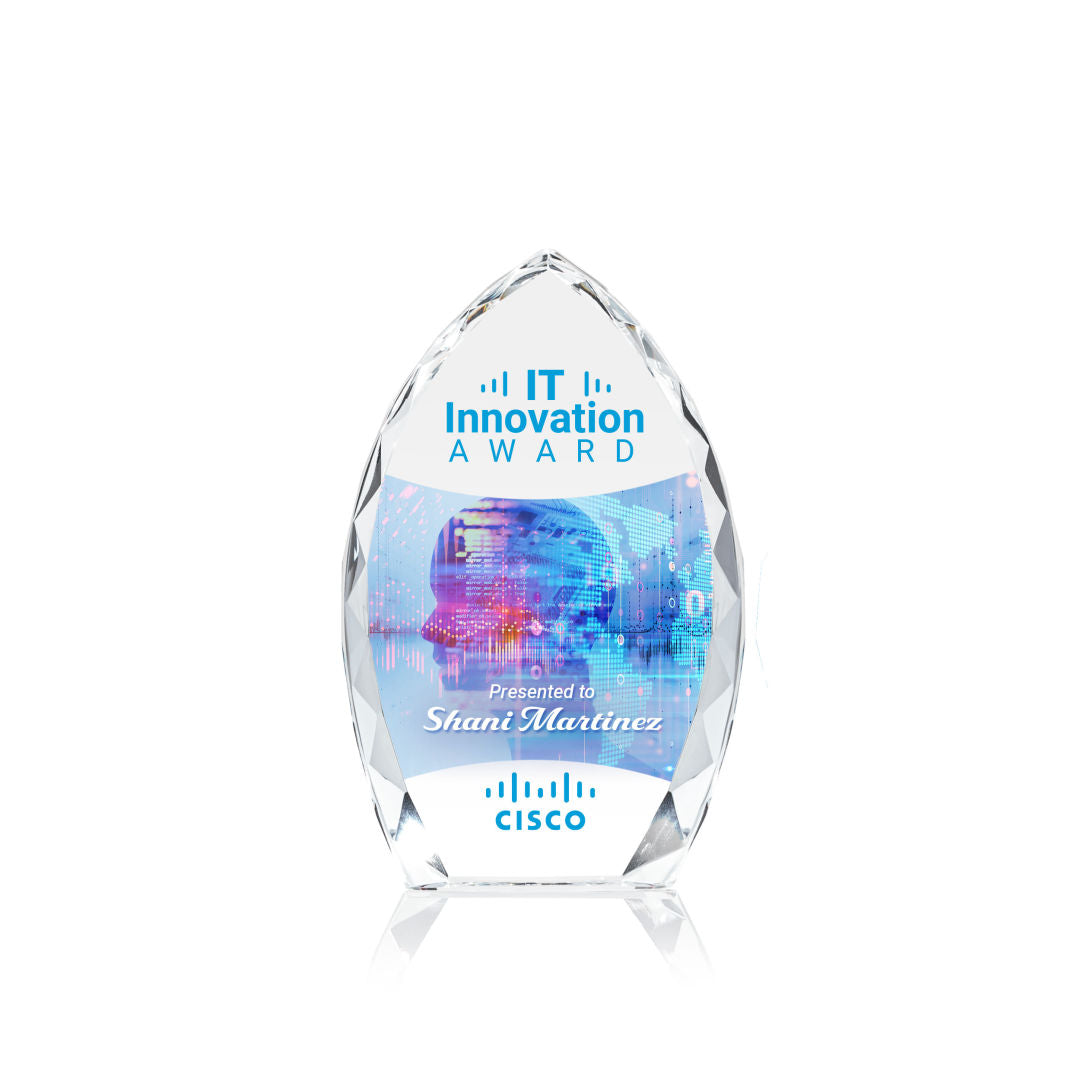 Wilton VividPrint™ Award