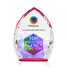 Wilton VividPrint™ Award