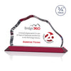 Petersen VividPrint™ Award