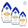 Marinello VividPrint™ Award