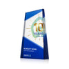Amstel VividPrint™ Award