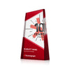 Amstel VividPrint™ Award