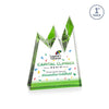 Alpine VividPrint™ Award