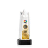 Delaware Star VividPrint™ Award on Base
