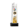 Delaware Star VividPrint™ Award on Base