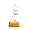 Manolita VividPrint™ Award