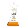 Manolita VividPrint™ Award