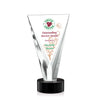 Mustico VividPrint™ Award