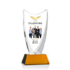 Dawkins VividPrint™ Award