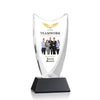 Dawkins VividPrint™ Award
