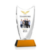 Dawkins VividPrint™ Award