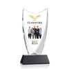 Dawkins VividPrint™ Award