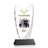 Dawkins VividPrint™ Award