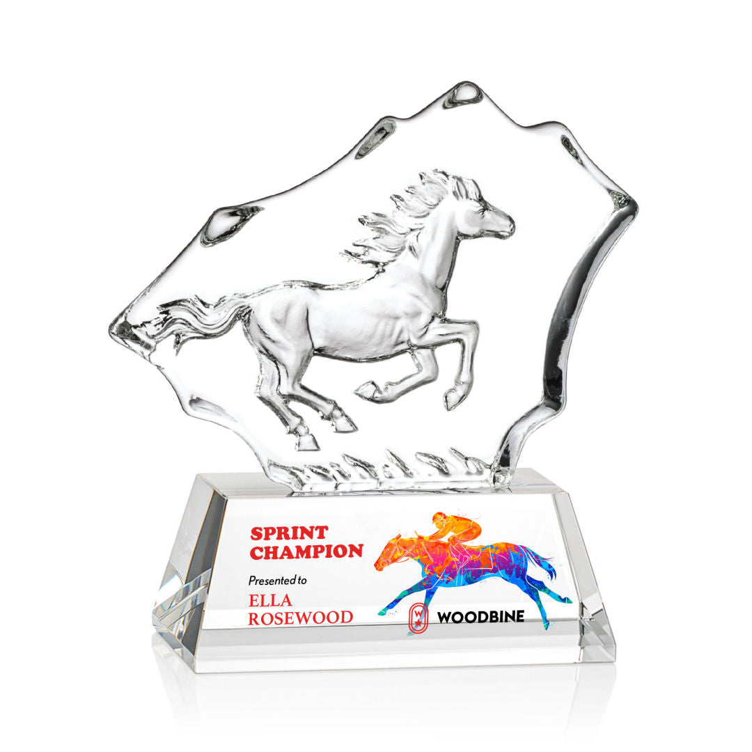 Ottavia Horse VividPrint™ Award