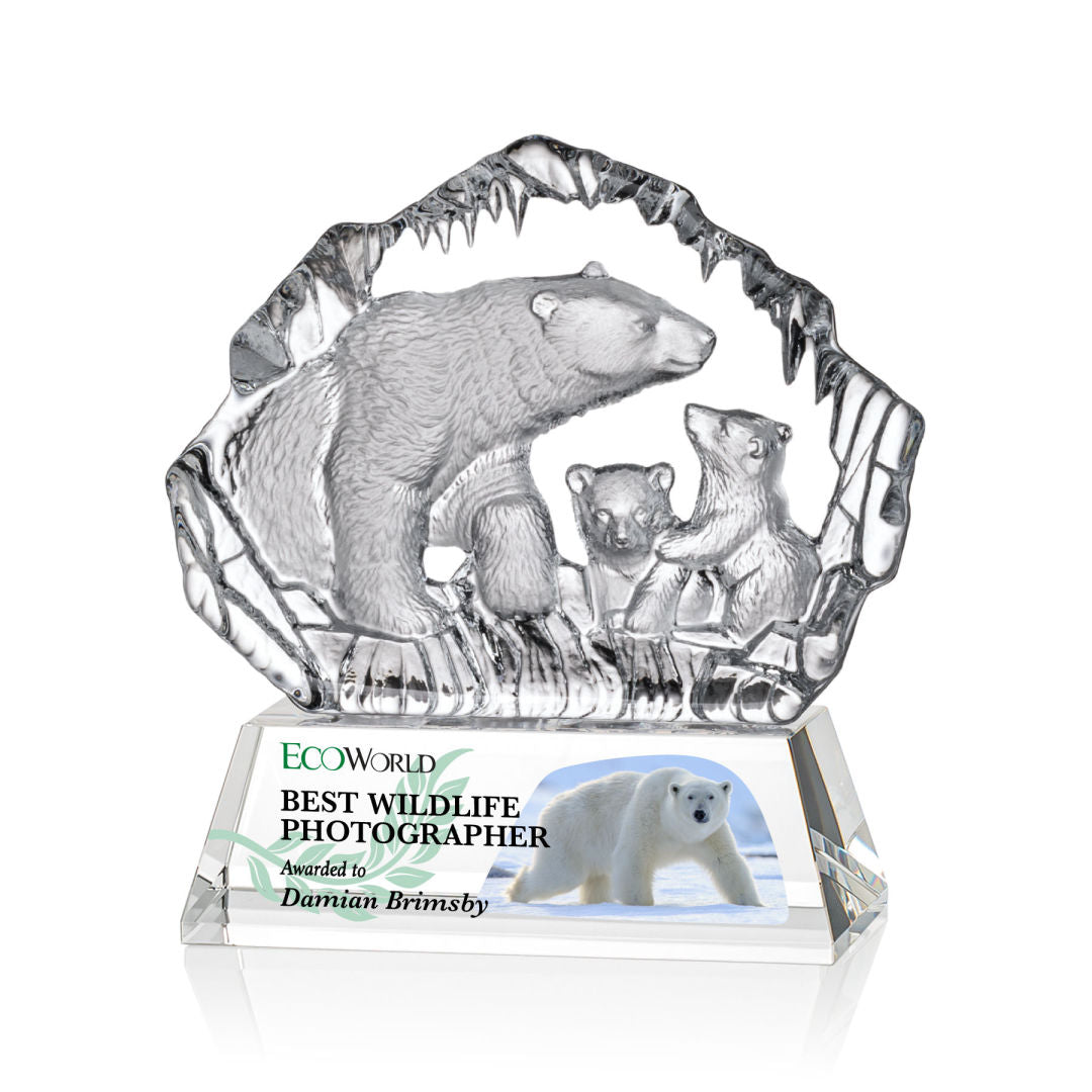 Ottavia Polar Bears VividPrint™ Award