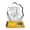 Ottavia Elephant VividPrint™ Award