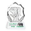 Ottavia Elephant VividPrint™ Award