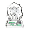 Ottavia Elephant VividPrint™ Award