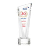 Plymouth VividPrint™ Award – Base & Size Options