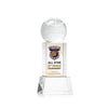 Basketball VividPrint™ Award on Belcroft