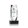 Delta VividPrint™ Award on Base