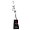 Star Goddess VividPrint™ Award