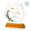 Ralston VividPrint™ Award