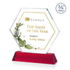 Ralston VividPrint™ Award