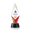 Manilow VividPrint™ Award