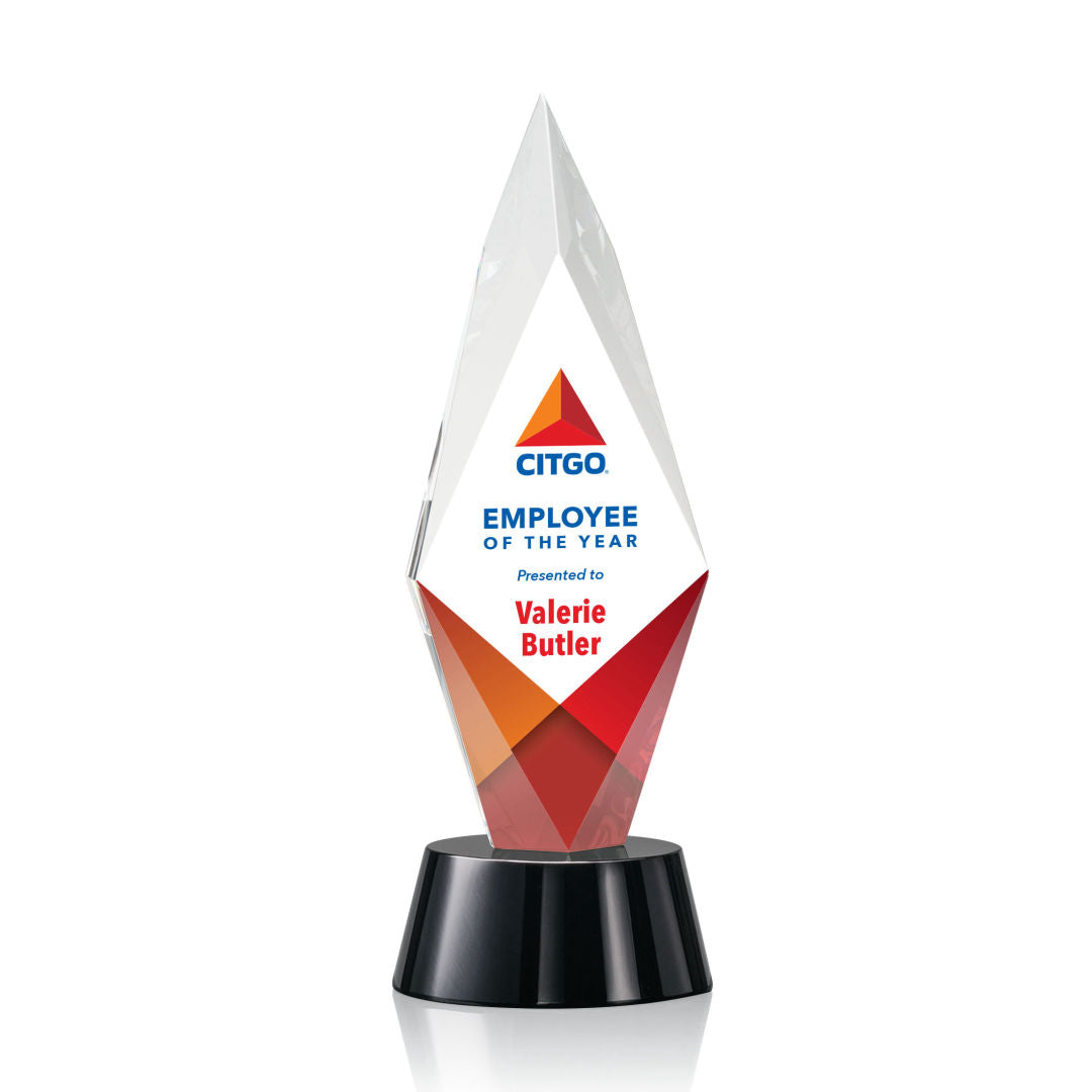 Manilow VividPrint™ Award