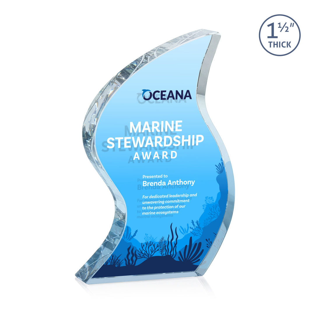 Nexis VividPrint™ Double Sided Award