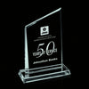 Representative Award