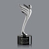 Meteor Award