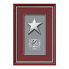 Baron Rising Star Framed Award