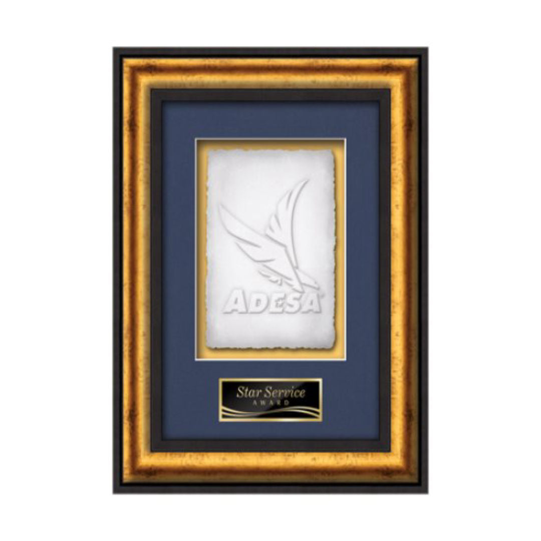 Grazia Cast Paper Framed Award — Black/Gold