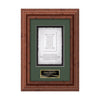 Terrene Cast Paper Framed Award