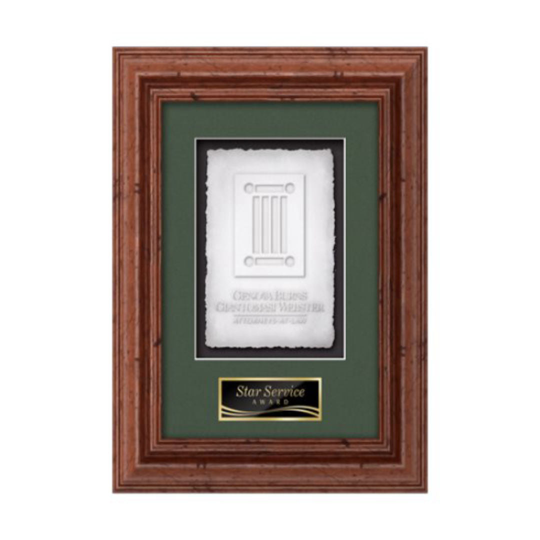 Terrene Cast Paper Framed Award