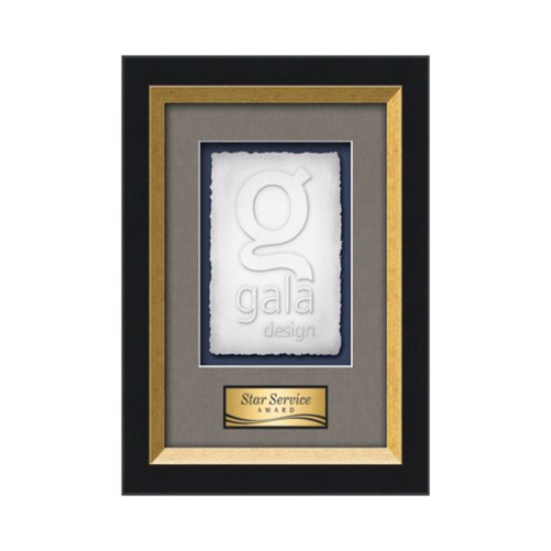 Omni Cast Paper Framed Award