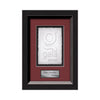 Omni Cast Paper Framed Award
